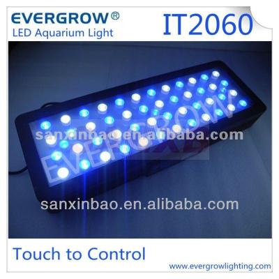 China Evergrow IT2060 Intelligent Aquarium LED Lights IT 2060 for sale