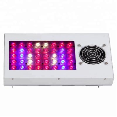 China free sample 300w led grow lights with double lens free sample 300w led grow lights with double lens for sale