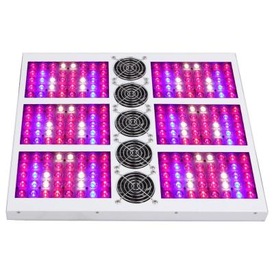 China HOT SAGA Full Spectrum RGB Greenhouse 3gp King Aluminum Led Grow Lights for sale