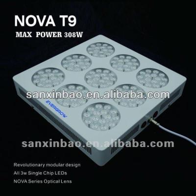 China Evergrow Lighting Nova T9 Led To Grow Bean Plant Growth Stages Light NOVA T9 for sale