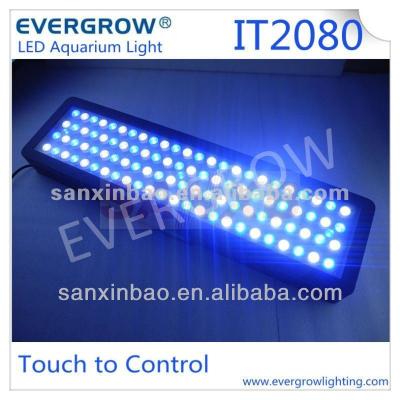 China Evergrow IT2060 Smart Programmable Aquarium LED Lights IT 2060 for sale