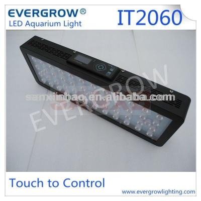 China Evergrow IT2060 Smart Programmable Aquarium LED Lights IT 2060 for sale