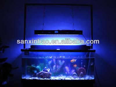 China 240W LED Aquarium Lamp Aquarium LED Light White Blue / Combo Actinic Grow Reef Evergrow IT2080 IT2080 for sale