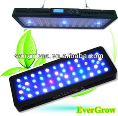 China Aquatic Fish/Coral Tank/Reef Lighting Hot Sale 120w LED Coral Reef Aquarium Lights from Evergrow IT2060 for sale