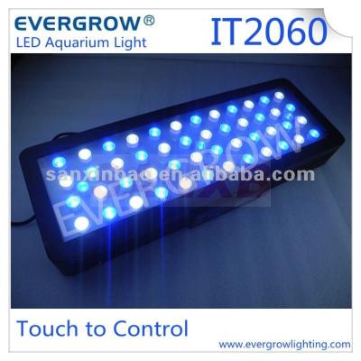 China Evergrow IT2080 36inch Dimmable Marine Aquarium Led Panel Aquarium Led Aquarium Lights for sale