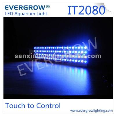 China Evergrow IT2080 auto led aquarium light to replace metal halide aquarium lamp EG. - IT2080 for sale