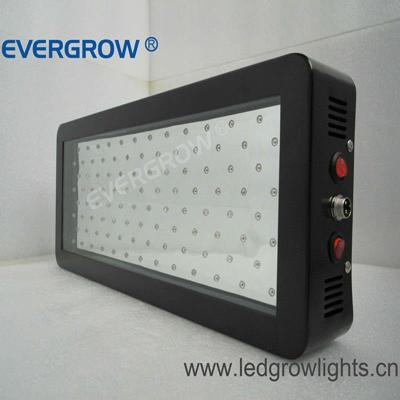 China Professional 3 WATT Iron Chip Led To Grow Light For Herbal Medicines, Green Home, Indoor Grow With CE/ROHS for sale