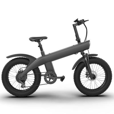 China Foldable pole cheap price IPX4 electric bicycle 36V 48V battery motor protection level can lift seat folding electric bicycle for sale