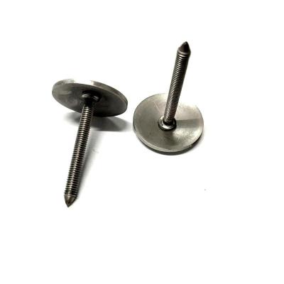 China Customization High Quality Stainless steel Pan Head thread screw Nails for plastic paper board for sale