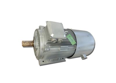 Cina 50RPM generatore di corrente magnetico permanente 10KW 20KW 50KW 100KW in vendita