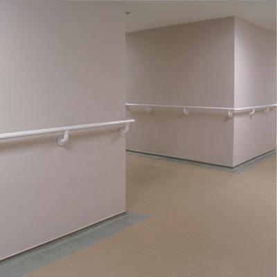 China Modern Hallway Handrail Nursing Home Hospital Wall Bracket Plastic Handrail Grab Bar for sale