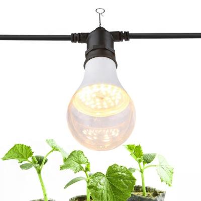 China Seed Starting Professional To Grow Lamp Maker Led Bulb A80 Hanging Plant Grow String Light for sale