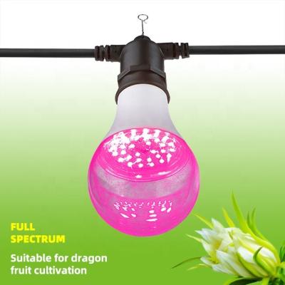 China Seed Starting Promote Pink Pitaya Flower Bud Differentiation 15W Plant Light Bulb for sale