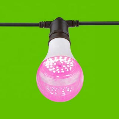 China Seed Starting HUACHANG E26/E27 Pitaya Red Light Grow Led Full Spectrum Light Bulb For Plant Growth for sale