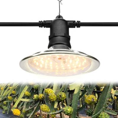 China Seed Starting Plant Lamp Strip Light Full Spectrum E26 Led Plant Bulb Grow Lights for sale