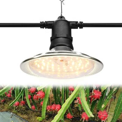 China Seed Starting Pitaya Planting Waterproof Full Spectrum Led Light Grow Lights for sale