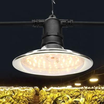 China Seed Starting Agricultural Plant Lamp Plant Greenhouses Led Bulb Light Grow Lights for sale