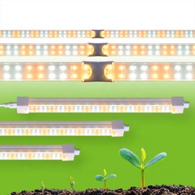 China Seed Starting Plant Lamp T5 Lamp Frame Layer Fabric Custom Grow LED Hydroponic Stent Grow Lights for sale