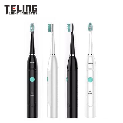 China New popular portable rechargeable multifunctional professional electric toothbrush battery operated toothbrush for sale