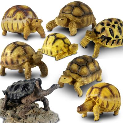 China Viable Model Resin Turtle A4 Water Turtle Turtle Model Box Landscaping Decoration Park Supplies for sale