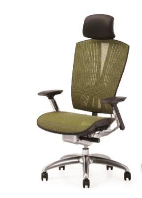 China New Design Mesh Ergonomic Executive Chair with Adjustable Back Support for sale