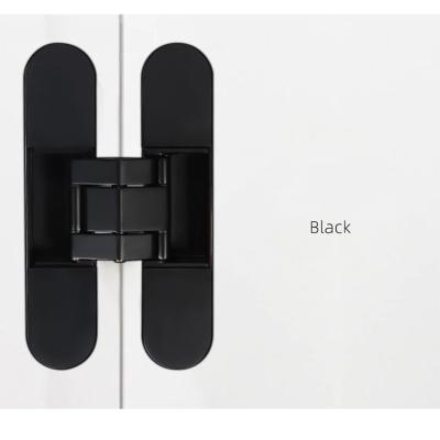 China Modern Plane Opening And Closing High Quality Parts Stainless Steel 165*30mm Buffer Smooth Hidden Door Hinges for sale