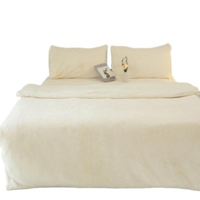 China Sustainable Arctic Warm Fleece Comforter Comforter Best Selling Goods for sale