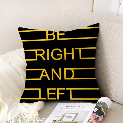 China Anti-Static microfiber good quality printed cover customized cushion pillow for sale