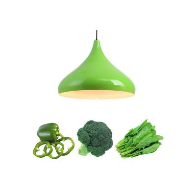 China Colorful Decorative Low Price Hoisting Waterproof Fish Lamp Refrigerated Cool Led Meat Lamp for sale