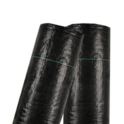 China Avoiding weeds growing high quality pp garden plastic fabric control 0.9 x 50m weed mat made in China for sale