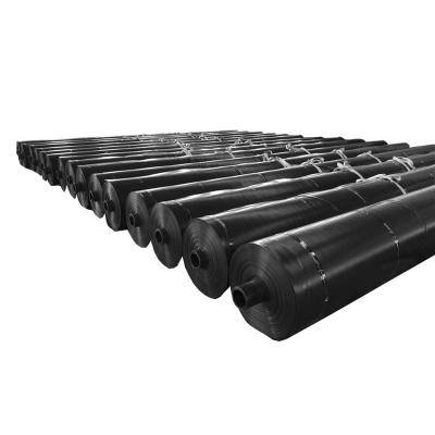 China High Density Polyethylene Geomembrane Roll Modern HDPE Geomembrane for sale