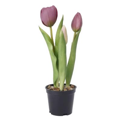 China Indor Decoration New Product Design Elegant Fake Flowers Realistic Artificial Flower Tulip PU Flower With PE Pot for sale