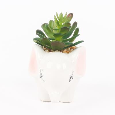 China Indor Decoration Artificial Succulent Ceramic Potted Plastic Plant With Animal Shape Ceramic Potted Plant For Home Indoor Decoration for sale