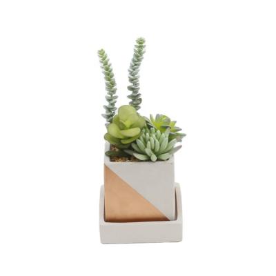 China Indor Decoration Succulent Realistic Succulent Desktop Faux Plastic Green Succulent Plants In Ceramic Pot for sale