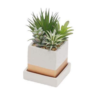 China Indor Decoration Office Decor Plants Small Succulent Desktop Display Artificial Succulent Bonsai Small for sale