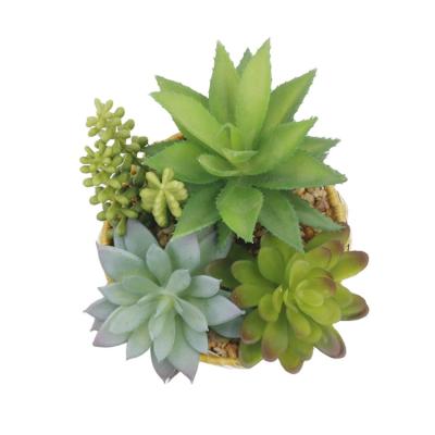 China Indor Mini Potted Home Decor Fake Succulent Plants Artificial Succulents Faux Plastic Succulents For Flower Arrangements for sale