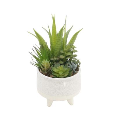 China Decorative Assorted Mini Artificial Assorted Potted Succulents Indor Decorative Faux Bonsai Small Plastic Plants for sale