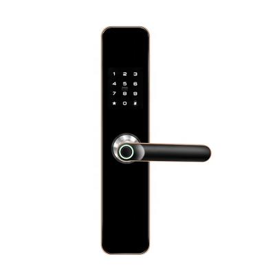 China Multifunctional Smart Door Locks Digital Panel Long Locks Fingerprint Password Key Card Reader Smart Door Lock for sale