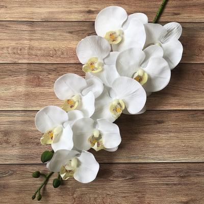 China Colorful Artificial Orchid Wedding High Quality Natural Touch Home Decoration PU Latex for sale