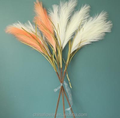 China FCD1009 Artificial Reed Phragmites Reed Grass Plants Faux Pampas Grass Plants Amazon Amazon For Wedding Home Decoration for sale