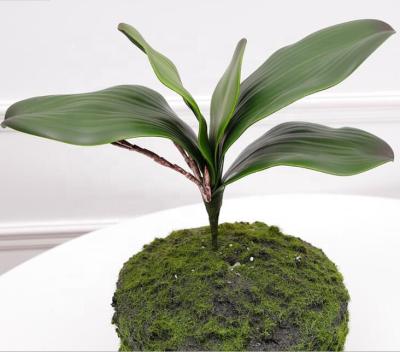 China Wedding Decoration Phalaenopsis Orchids Leaves Roots Latex Artificial Looking Touch Real Plants Green Leaf Layouts for sale