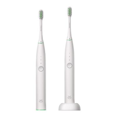 China Simple Design OEM Portable Teeth IPX7 Sonic Electric Cordless Filling Toothbrush For Adults for sale