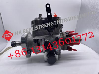 China Diesel Engine Common Rail Fuel Injection Pump DB4629-6175 DB46296175 for sale