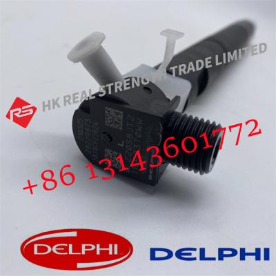 China Delphi Common Rail Fuel Injector Excavator 28229873 33800-4A710 40090300076a For Kia Bongo Hyundai Starex for sale