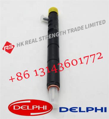 China Delphi Common Rail Fuel Injector EJBR04101D JBR02101Z 8200049876 Excavator For Delphi  Engine for sale