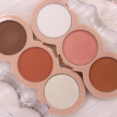 China New Arrival Custom So Pretty Cute Cardboard Waterproof 10 Plain Colors Blush No Logo Blush for sale