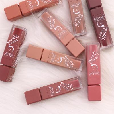 China New Matte No Logo Vegan Lipgloss Cosmetics Smooth Lasting Liquid Fashionable Waterproof Matte Vegan Lipgloss from DODOGIRL for sale