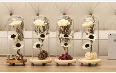 China high quality hand blow glass doll dome for displaying in a wedding table with wood  base for sale