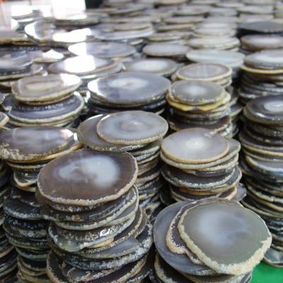 China Stocked Raw Stone Agate Coaster Wedding Decoration Raw Stone Ornaments for sale