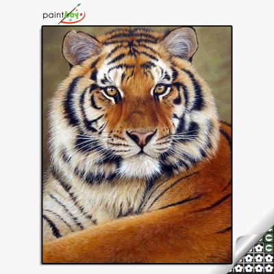 China Hot Impressionist Paintboy 40*50 Tiger DIY Design Diamond Painting By Numbers for sale